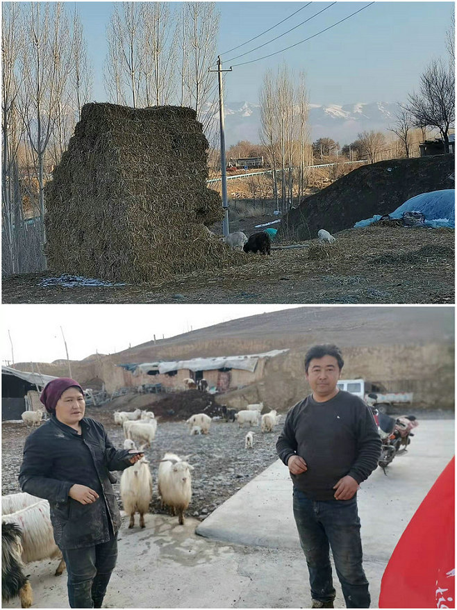 16.jpg 16.jpg